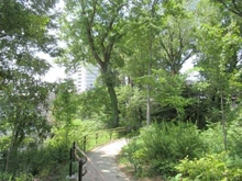 【東京都/国分寺市南町】プラウド国分寺 敷地内