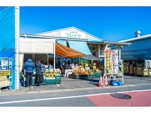 【東京都/練馬区高松】ライオンズガーデン石神井公園 弐号棟 新鮮市場フレッツ　練馬店（現地より約450m）