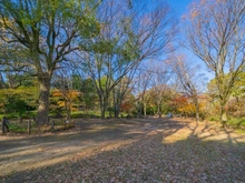 【東京都/目黒区駒場】リシェ駒場東大前 目黒区立駒場野公園（現地より約850m）