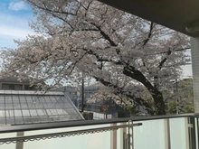 【東京都/練馬区平和台】プラウド平和台テラス 眺望