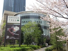 【神奈川県/川崎市中原区新丸子東】パークシティ武蔵小杉ミッドスカイタワー グランツリー武蔵小杉（現地より約20m）