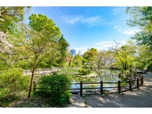 【東京都/渋谷区松濤】ドゥアージュコラッド松濤 綱島松濤公園（現地より約300m）