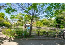 【東京都/渋谷区松濤】ドゥアージュコラッド松濤 綱島松濤公園（現地より約300m）