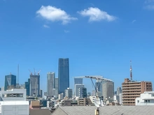 【東京都/港区白金】ニュー白金マンション 眺望