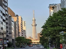 【東京都/中央区東日本橋】シャルムコート東日本橋 御幸通り（現地より約150m）：