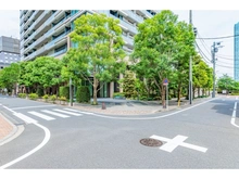 【東京都/中央区湊】パークシティ中央湊　ザ タワー 前面道路