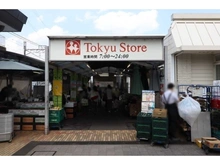 【神奈川県/川崎市宮前区宮前平】プラウドシティ宮崎台ウエストコート 東急ストア宮崎台店（現地より約550m）