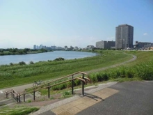 【東京都/大田区西六郷】プラウドシティ大田六郷 プラザ街区棟 多摩川緑地（現地より約440m）