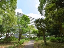 【神奈川県/横浜市戸塚区俣野町】県ドリームハイツ壱七号棟 外観