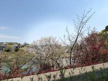 【兵庫県/西宮市名次町】プラウド夙川名次町 眺望
