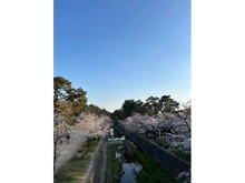 【兵庫県/西宮市神園町】夙川苦楽園口レジデンス 夙川公園（現地より約110m）