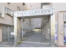 【千葉県/市川市新田】ライネスハイム市川 敷地内