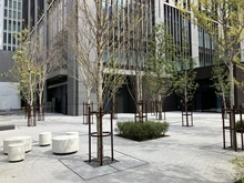 【東京都/港区浜松町】ワールドタワーレジデンス　WORLDTOWERRESIDENCE 敷地内