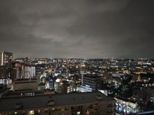【神奈川県/川崎市中原区小杉町】パークシティ武蔵小杉ザガーデンタワーズウエスト 眺望