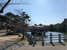 【兵庫県/神戸市東灘区御影山手】御影山手アーバンライフ 深田池公園（現地より約60m）：※対象不動産隣接