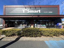 【千葉県/浦安市高洲】プラウド新浦安 ワイズマートディスカ高洲店（現地より約900m）