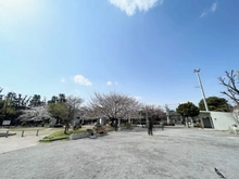 【東京都/世田谷区駒沢】ヴィークコート駒沢 世田谷区立小泉公園（現地より約10m）