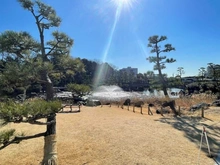 【東京都/品川区南大井】シティタワー品川パークフロント しながわ区民公園（現地より約40m）