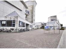 【千葉県/千葉市美浜区若葉】幕張ベイパーク クロスタワー＆レジデンス 千葉市立打瀬中学校（現地より約1,600m）