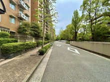 【東京都/渋谷区広尾】広尾ガーデンヒルズ ウエストヒル K棟 前面道路