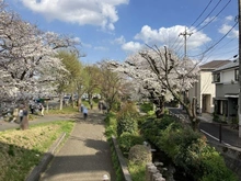 【東京都/立川市錦町】リビオプレシア立川錦町 立川公園（現地より約600m）