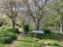 【東京都/立川市錦町】ステイツ西国立 青柳北緑地（現地より約500m）