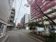 【神奈川県/横浜市南区真金町】サンセーヌ横浜 前面道路
