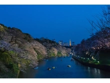 【東京都/新宿区富久町】ピアース四谷 千鳥ヶ淵（現地より約2,850m）