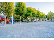 【東京都/台東区橋場】グレイスコート浅草 台東区立石浜公園（現地より約335m）