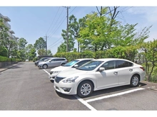 【神奈川県/横浜市青葉区あざみ野】あざみ野団地3-3-4号棟 駐車場