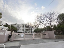 【東京都/江東区亀戸】ガーラ・レジデンス亀戸セントラルパーク 江東区立亀戸中学校  （現地より約580m）
