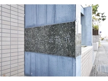 【千葉県/千葉市中央区蘇我】グリーンコーポ蘇我 マンション表札