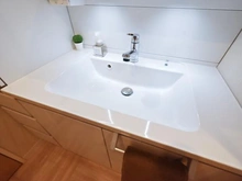 【埼玉県/さいたま市桜区道場】サクラディア サークルコート 洗面所