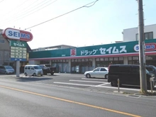 【埼玉県/さいたま市桜区道場】サクラディア サークルコート ドラッグセイムス道場店（現地より約310m）