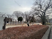 【埼玉県/さいたま市南区南本町】ライオンズステージ南浦和 一ツ木公園（現地より約90m）