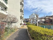 【埼玉県/さいたま市南区太田窪】コーポ太田窪 敷地内