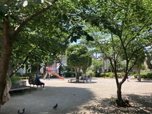 【埼玉県/さいたま市浦和区仲町】パークホームズ浦和仲町二丁目 浦和中央公園（現地より約210m）