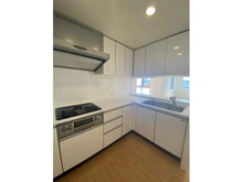 【埼玉県/さいたま市浦和区上木崎】ルネサンス浦和上木崎 キッチン：Ｌ字型キッチンです。