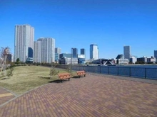 【東京都/中央区晴海】ザ・パークハウス晴海タワーズティアロレジデンス 晴海臨海公園（現地より約270m）