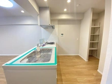 【埼玉県/さいたま市浦和区針ヶ谷】コープ野村浦和 2号棟 キッチン