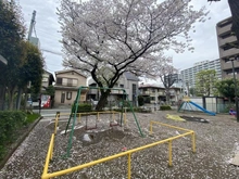 【埼玉県/さいたま市浦和区針ヶ谷】コープ野村浦和 2号棟 針ヶ谷四丁目公園（現地より約80m）