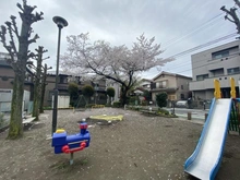 【埼玉県/さいたま市浦和区針ヶ谷】コープ野村浦和 2号棟 針ヶ谷四丁目公園（現地より約80m）