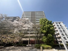 【埼玉県/さいたま市南区南本町】ザ・パークハウス南浦和ガーデン 外観