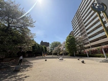 【埼玉県/さいたま市南区南本町】ザ・パークハウス南浦和ガーデン 北原公園（現地より約5m）