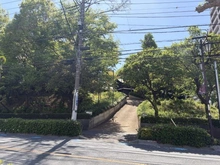 【埼玉県/さいたま市南区南本町】ザ・パークハウス南浦和ガーデン 大谷場氷川神社 ふるさとの森（現地より約360m）