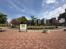 【埼玉県/さいたま市浦和区常盤】サンマンションドゥーシェ浦和常盤 常盤公園（現地より約70m）
