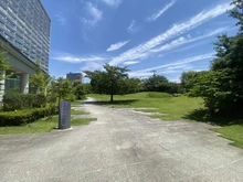 【埼玉県/さいたま市中央区上落合】シティテラスさいたま新都心 敷地内
