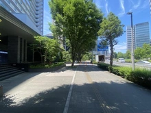 【埼玉県/さいたま市中央区上落合】シティテラスさいたま新都心 前面道路
