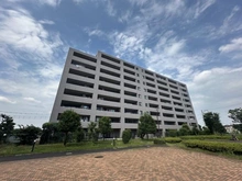 【埼玉県/さいたま市見沼区春野】プロムナード大宮春野B棟2番館 外観