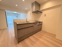 【埼玉県/さいたま市浦和区岸町】レイニオン岸町 キッチン